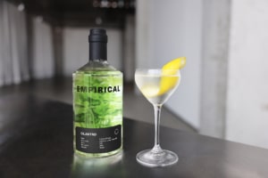 Empirical Cilantro Bottle and Martini lr 1 | Bartender.com